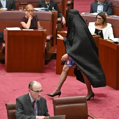 'Racist': Hanson condemned for reprising burqa stunt