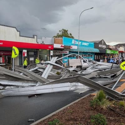 Man dies under falling tree as storms take their toll