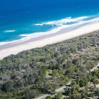 Woman dead but man heroically saved after shark attack