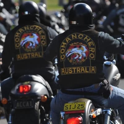 No bail for bikie accused over shooting and record bust