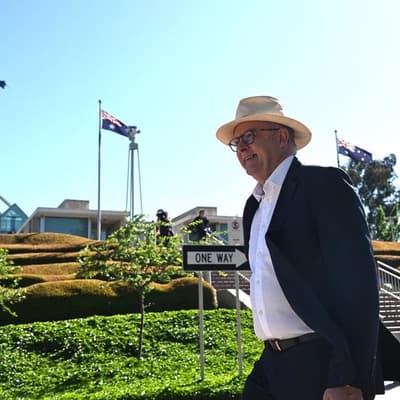 Labor on a high as Barnaby bolts and Pauline shocks