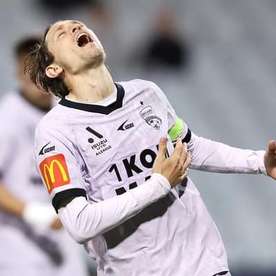 Phoenix quell Socceroo to bank key win before NZ derby