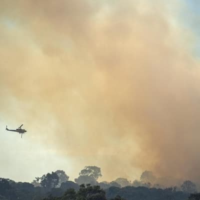 Residents told to evacuate as bushfire threatens homes