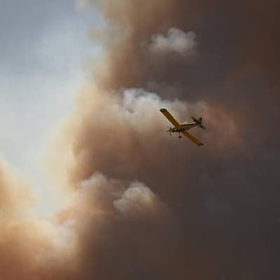'Ridiculous' drone flying lashed as fire destroys home