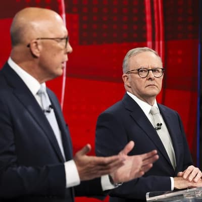 Albanese, Dutton 'court battle' is a work of fiction