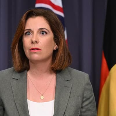 Minister under fire for $100k NY trip to spruik laws