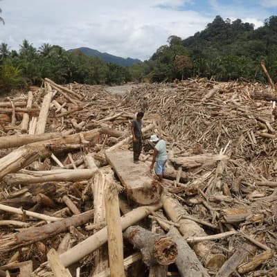 Deforestation in spotlight as Asia flood toll hits 1500