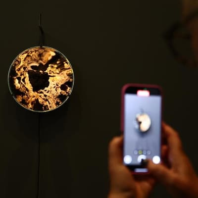 Famous artist's 'brain-tingling' works inspire, provoke