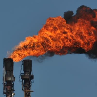 'Climate obstruction' alarms raised with museum sponsor