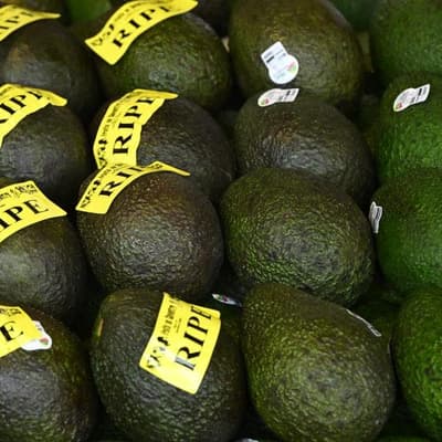 Avo go at this: Aussie exports fuel hopes for new year