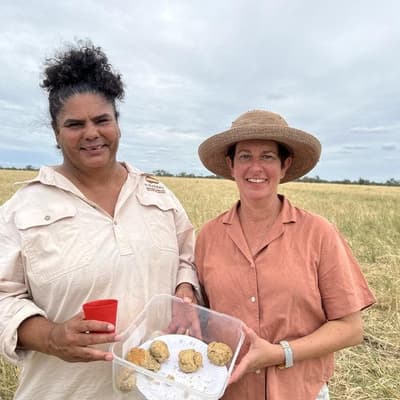 The smell of native grasses reviving women's knowledge