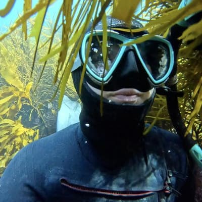 From goggles and floaties to using AI to save sea lions