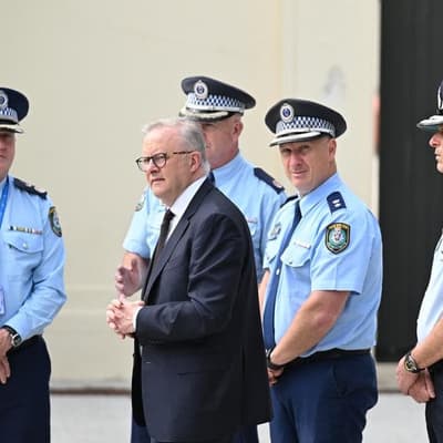 Gun laws in crosshairs as cops defend shooting response