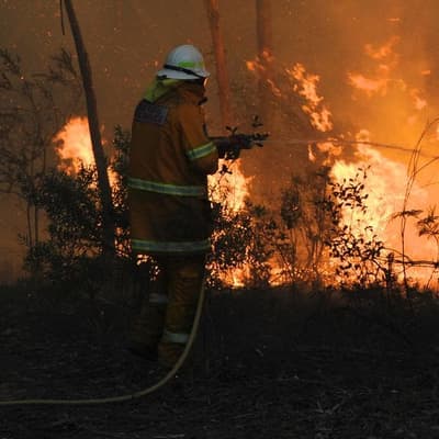 Emergency site in meltdown as bushfires threaten homes