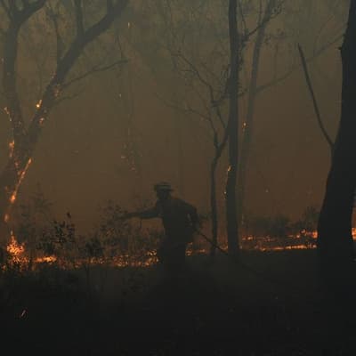 Data processing failure ignites emergency site meltdown