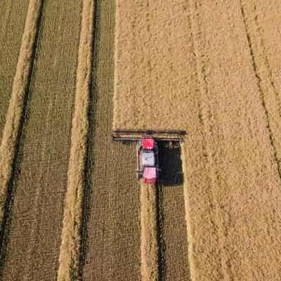 Queensland continues to lead in carbon farming reform