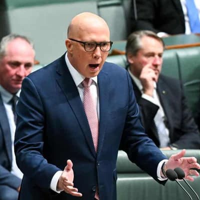 Dutton labels referendum a 'reckless roll of the dice'