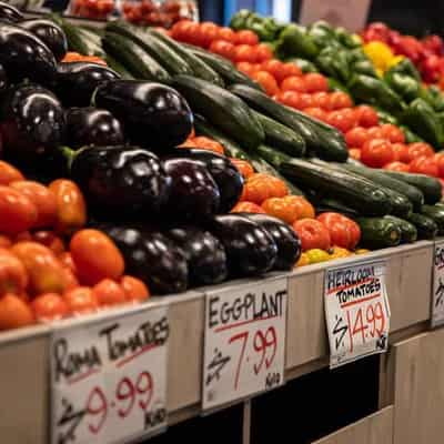 Consumers warned high price of fresh food here to stay