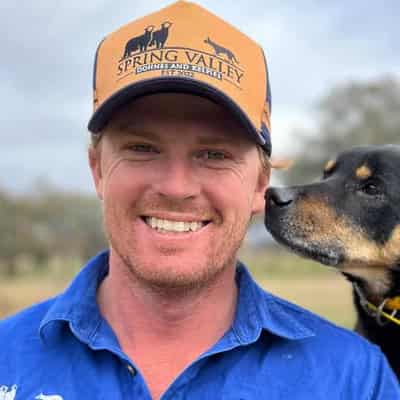 Pups go turbo for international working dog challenge