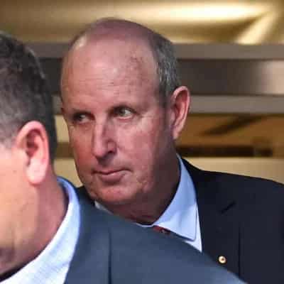 Ex-NSW Nationals chair seeks to be spared conviction