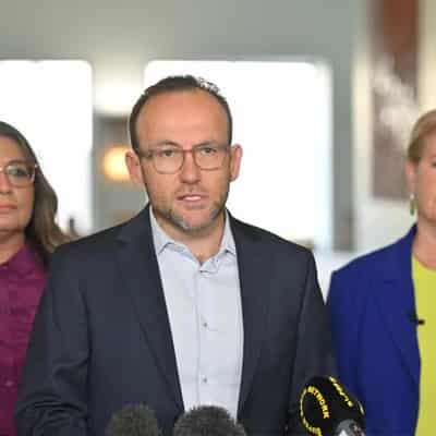 Greens await Thorpe claim as Bandt notes party racism