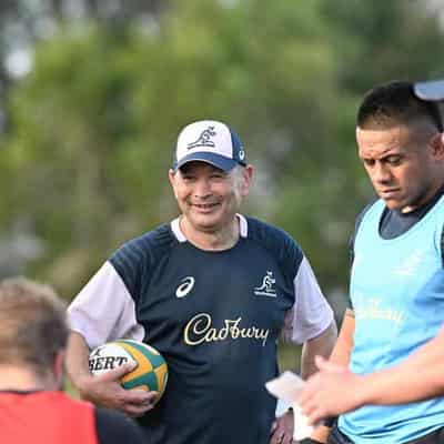 Jones, Wallabies plot Rugby World Cup smash and grab