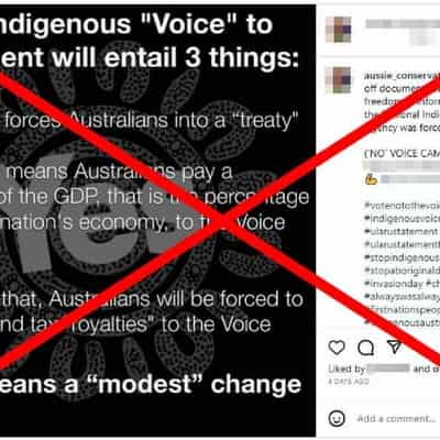 Secret documents claim misleads on the voice