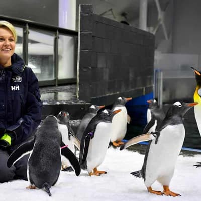 Minister taken to court over 'mega' coalmine approvals