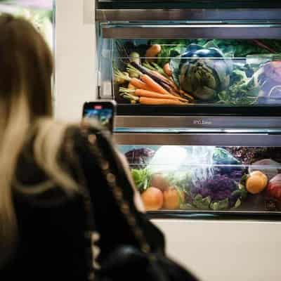 Businesses sanctioned over Vic fridge discount program