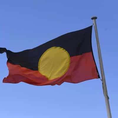 Land councils say yes to Indigenous voice in referendum