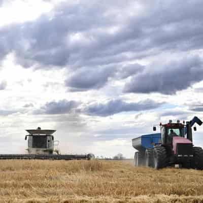 Farmers want wriggle room on asset write-off deadline