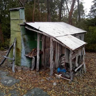 Decision looms in battle over Tasmania's wild heart