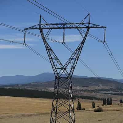 Nationals call for a pause in power lines project