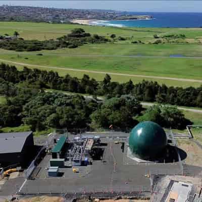 Sydney flush with first biomethane injected to gas grid