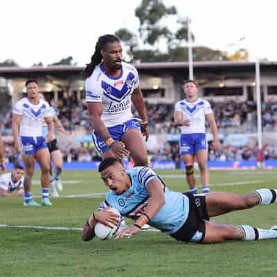 Hynes bounces back, Sharks belt woeful Bulldogs in NRL