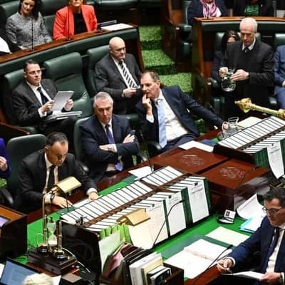 Vic premier refuses to apologise for 'halfwit' jibe