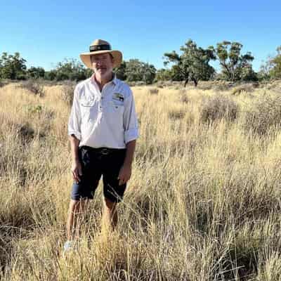 Research finds carbon farming helps drought resilience