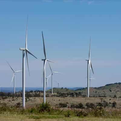 Sleep on: wind farms no worse than traffic, says study