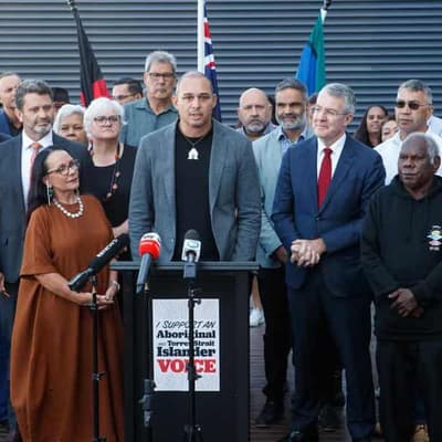 Voice book funding claim is a work of fiction