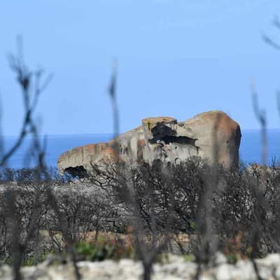 New management plan for Kangaroo Island bushfires