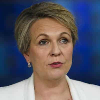 'Nature positive' laws in Australia's future: Plibersek