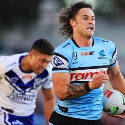 'Brutal' Origin axing won't hurt star Shark Nicho Hynes