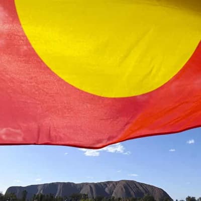 SA voice vote delayed amid referendum confusion