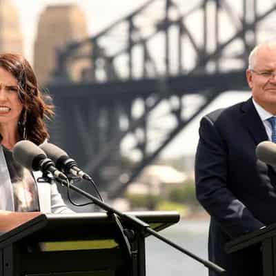 NZ High Commissioner reveals Morrison, Ardern spats