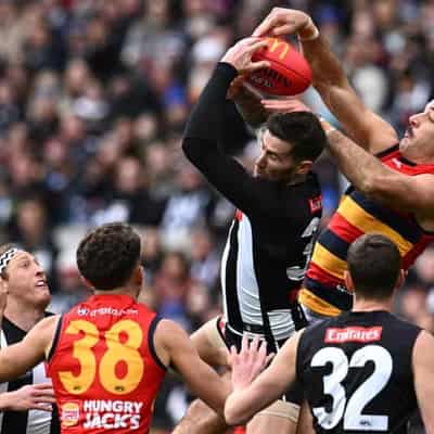 Lowly North similar to pacesetters Collingwood: Nicks