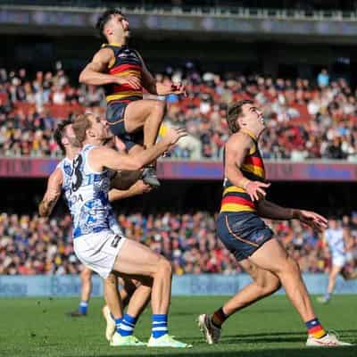 Rankine stars as Adelaide hammer North Melbourne in AFL