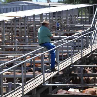 Good outlook for farmers despite lower commodity prices