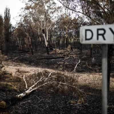 Nation put on high alert as El Nino warnings heat up