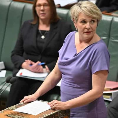 Traditional owners' last ditch plea to stop bulldozers