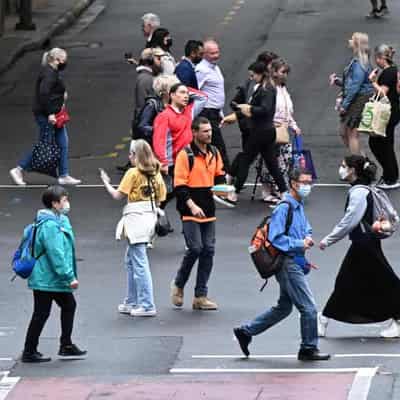 Pandemic stress higher among refugee women in Australia